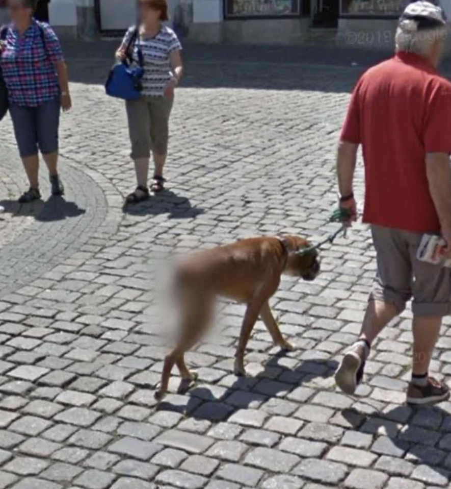 funny things on google maps - 192019